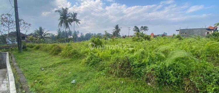 Hot List Di Jual Tanah Lokasi Peliatan Ubud Gianyar  1