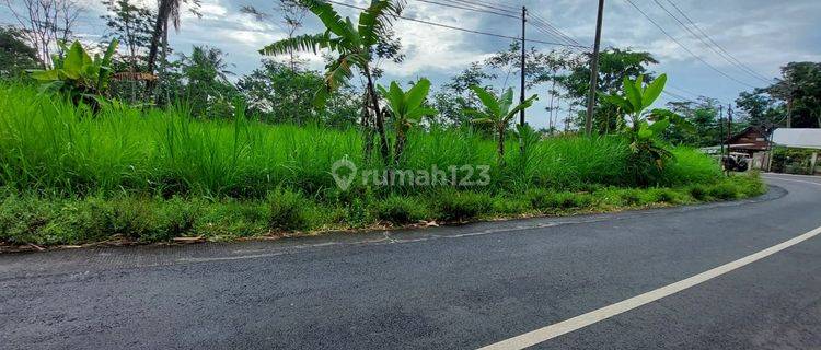 Tanah Luas Dijual di Kawasan Lumbang 1