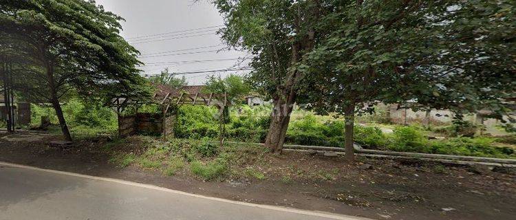 Tanah utk Gudang Lebar Depan 41 m di 0 Jl. Lumajang Kab Prob 1