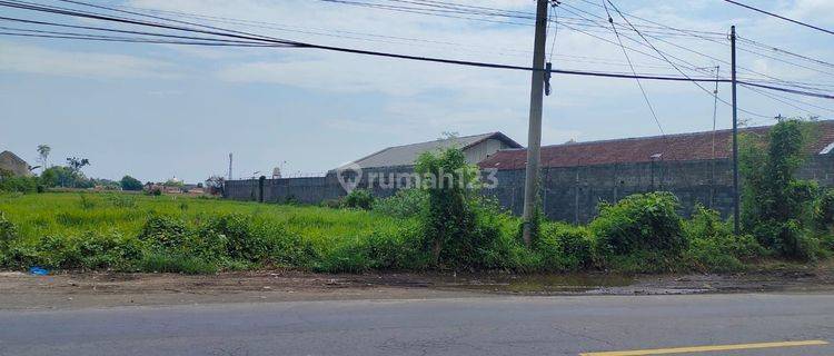 Tanah Luas 0 Jl Propinsi Potensi Gudang di Kota Prob 1