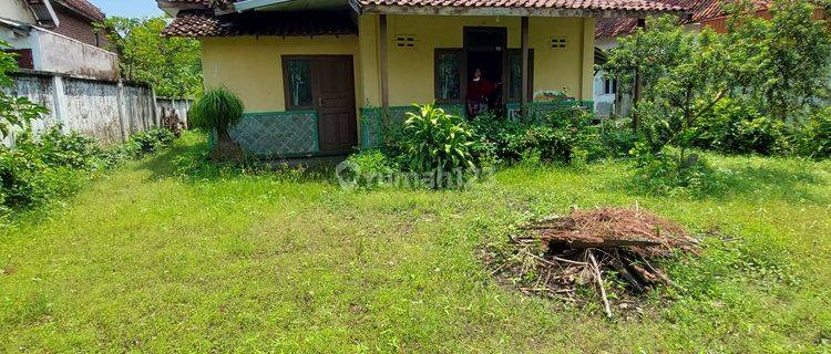 Tanah Potensi utk Perumahan di Kota Probolinggo 1