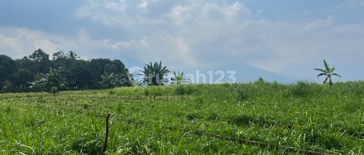  Lahan Untuk Perkebunan Vila Best View Dikawasan Agro Wisata  1