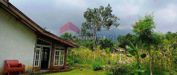 Jual Tanah Luas Bonus Rumah Samping Jatim Park 1 di Batu, Malang 1