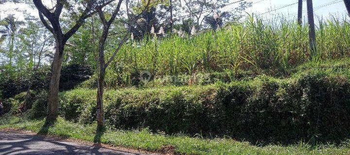 Dijual tanah, pinggir jalan menuju gunung kawi 1