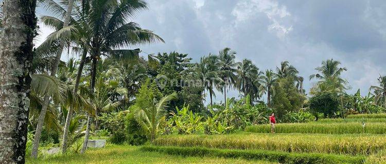 Tanah di Daerah Ubud 1