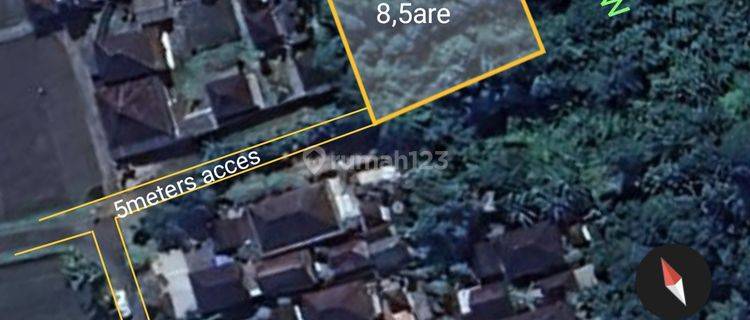 Land for sale covering 8.5 acres with Jungle View in Kaba Kaba Yellow Zone 1