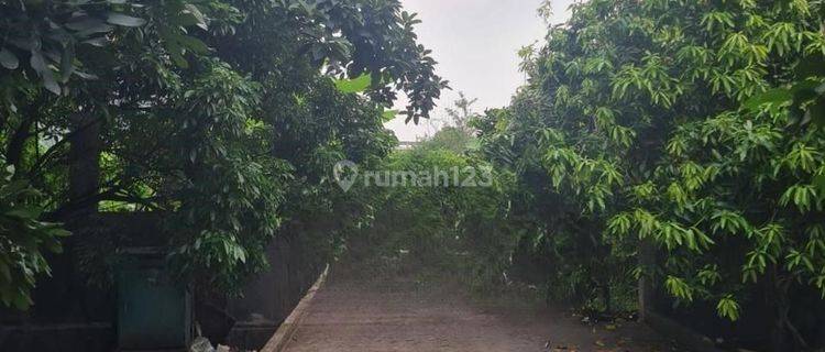 Kavling siap bangun di cluster asia Banjar Wijaya  1