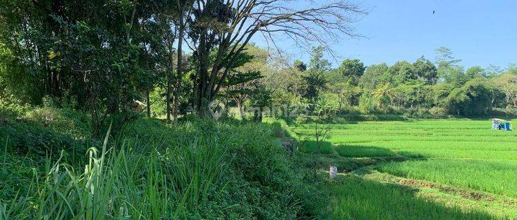 Jual Kavling  27.000 m2  di Cibinong cocok untuk Perumahan, Peternakan, Tempat Wisata, Pesantren 1