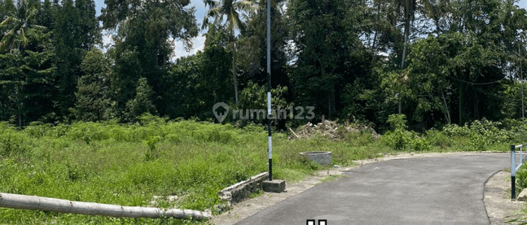 200m Jln. Raya, Investasi Tanah Pasti Untung, SHM di Jogja 1