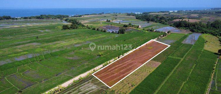 Jual tanah lokasi dekat pantai kelating di Jalan pantai kelating 1