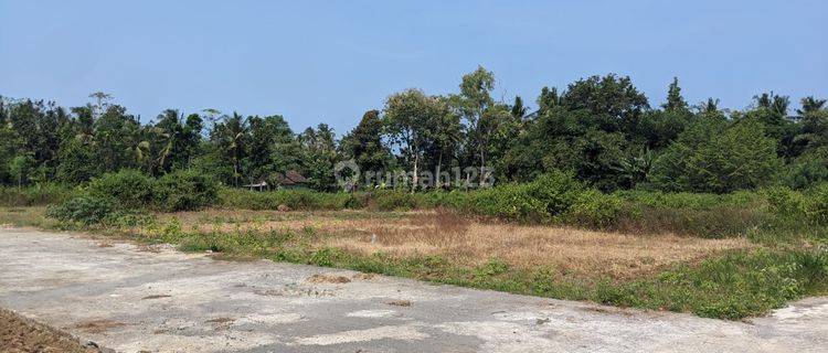 Tanah Cluster Dekat Bandara Yia Jalan Daendels Ngombol Purworejo 1