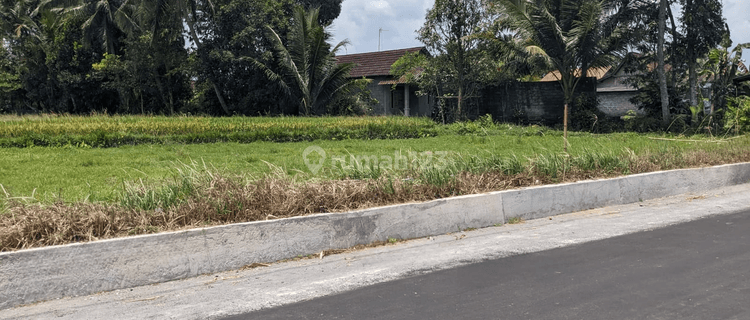 Tanah Pekarangan Tepi Jalan Dekat Exit Tol Borobudur Magelang 1