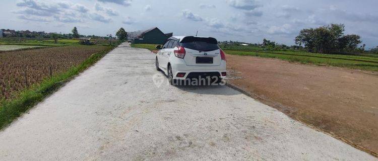 Tanah Apik Di Purwomartani Kalasan Dekat Rs Pdhi Jl. Jogja Solo 1