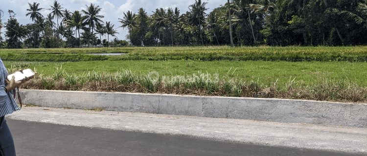 Tanah Tepi Jalan Dekat Candi Mendut Dan Candi Borobudur Mungkid 1