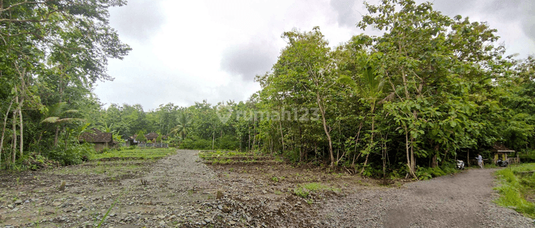 Tanah Jogja Barat Di Sentolo Kulon Progo Dekat Tol Banguncipto 1