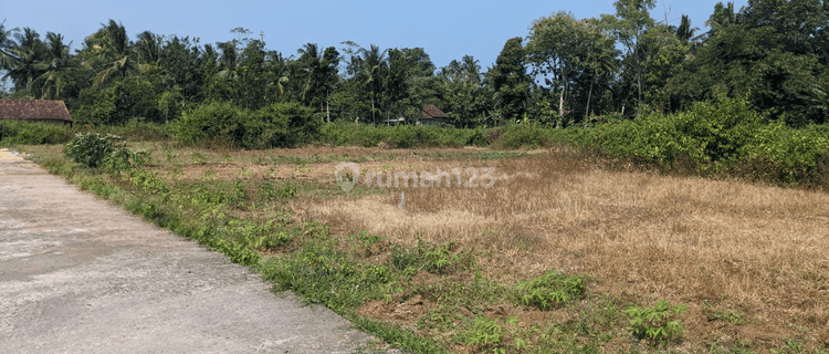 Tanah Dekat Bandara Yia Jl Daendels Kumpulsari Ngombol Purworejo 1