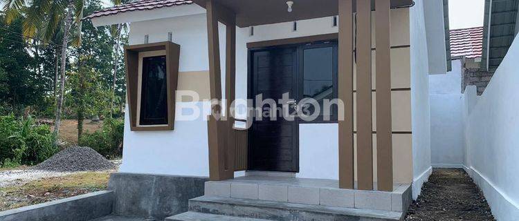 Rumah Murah Desain Minimalis di Tabanan 1