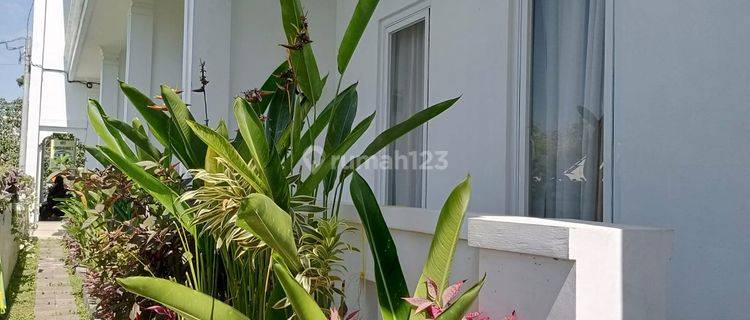 Mixed Boarding House Guest House Homestay on Jl Pura Pemecutan Ungasan 1