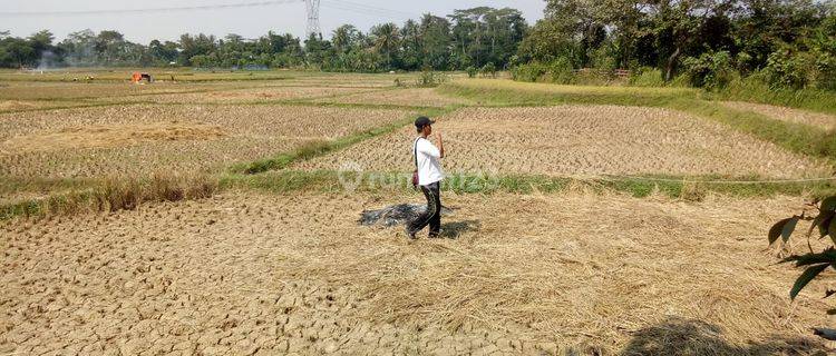 Dijual Tanah Kavling Darat Dan Sawah SHM di Pamarayan Serang  1