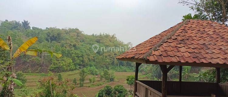 Tanah Darat & Tanah Sawah View Pesawahan Udara Sejuk  1