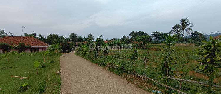 TANAH KEBUN DATAR  SAMPING JALAN DENGAN UDARA ADEUM 1