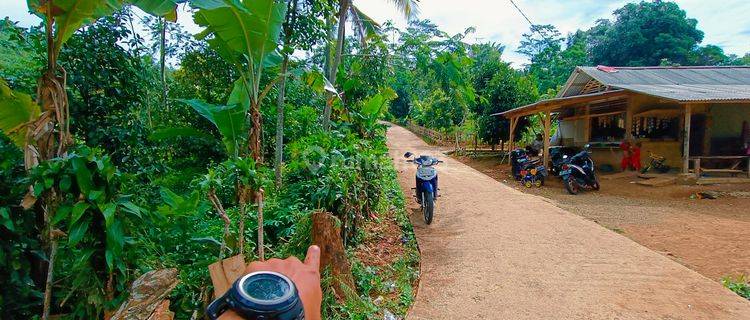 Tanah kebun samping jalan strategis view gunung  1