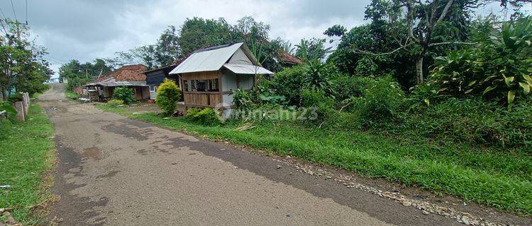 Tanah kebun subur samping jalan besar 2 mobil 1