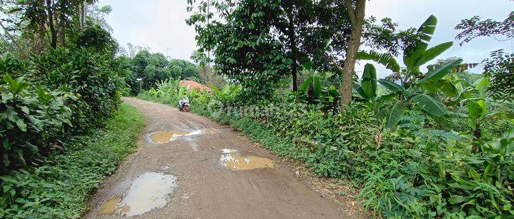 Tanah kebun subur samping jalan 2 mobil  1