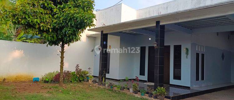 RUMAH NYAMAN SEJUK KHAS PEDESAAN DENGAN HALAMAN LUAS 1