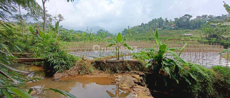 TANAH SAWAH VIEW GUNUNG UDARA SEJUK AIR MELIMPAH JERNIH 1