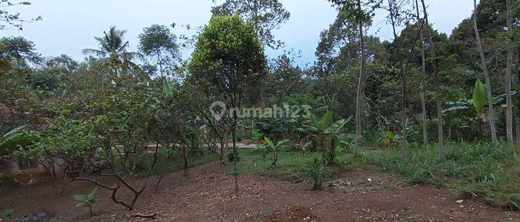 Perkebunan Taman Buah Durian, Sawah, Villa 1