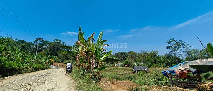 Tanah Subur Dan Produktif Samping Jalan Besar 1