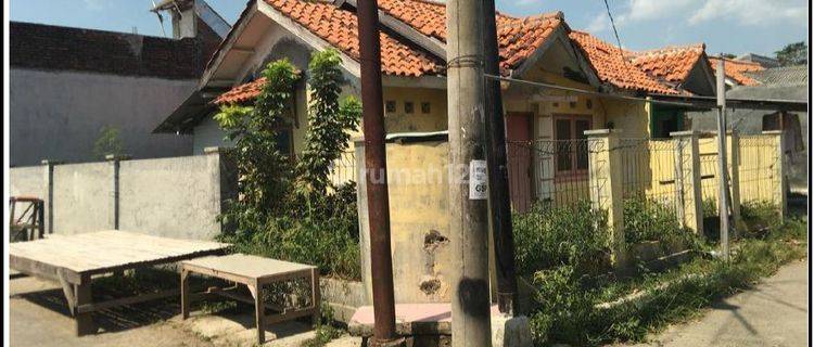 Rumah Dijual Hitung Tanah Di Lobunta Banjarwinangun Cirebon 1