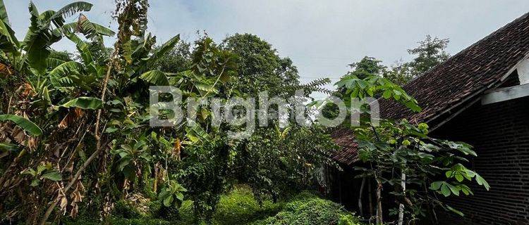 TANAH KOSONG BUTUH CEPAT LAKU DI DAERAH SUMBERBENDO NGORO MOJOKERTO DEKAT NGORO INDUSTRI 1