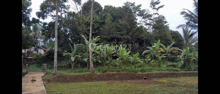 Dijual Tanah Sawah 408 M2 Dekat Sungai Di Sukabumi 1