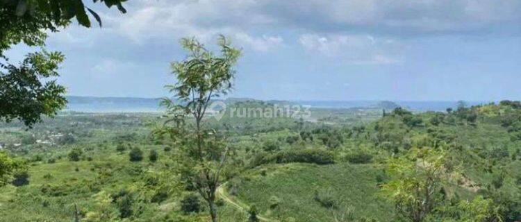 Tanah strategis Dekat Mandalika, Lombok Tengah 1