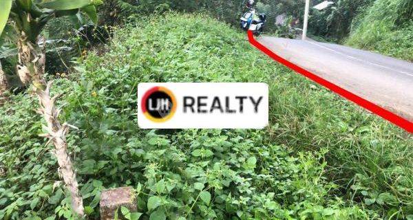 Land In Banjar, Buleleng, Close To Tamblingan Lake, Suitable For Plantation 1