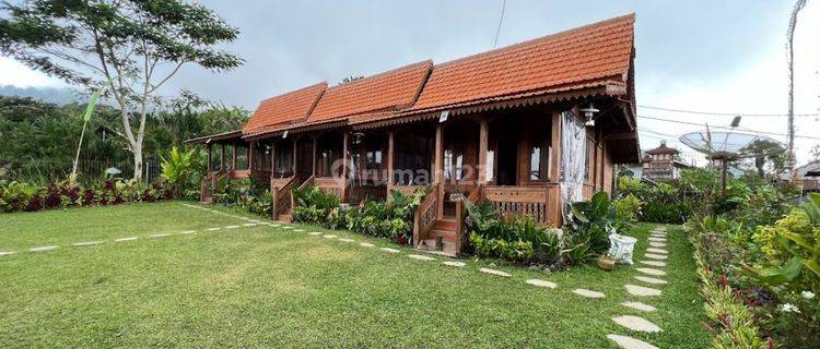 Villa Area Danau Buyan Pancasari Buleleng Cocok Utk Investasi 1