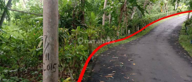 Tanah Di Jl Puri Dajuma Pekutatan Jembarana Cocok Utk Villa 1