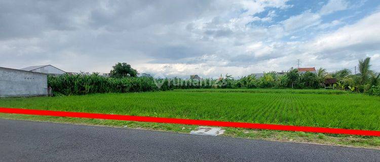 Tanah Di Jalan Ratna Mengwi Badung Cocok Dibangun Gudang 1