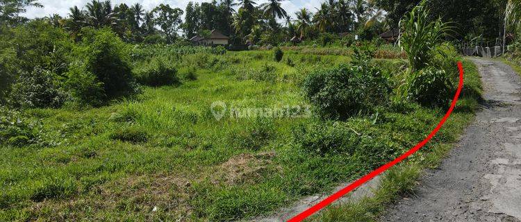 Nyalian Klungkung Village Land Suitable For Future Investment 1