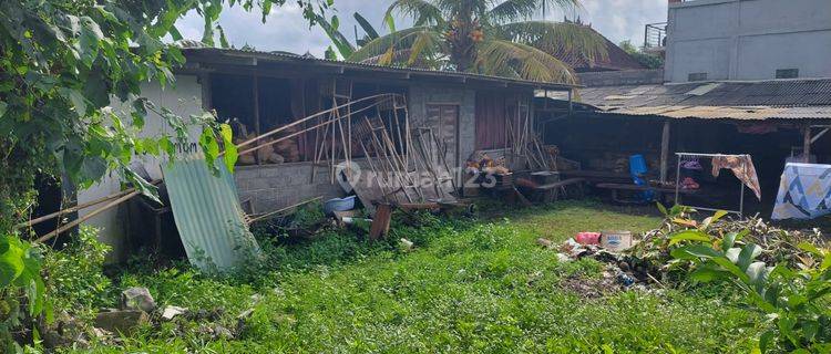 Tanah Jalan Kresna Darmasaba Badung Cocok Dibangun Rumah Tinggal 1