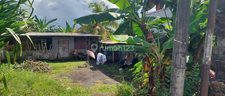 Tanah Jalan Kresna Darmasaba Badung Cocok Dibangun Rumah 1