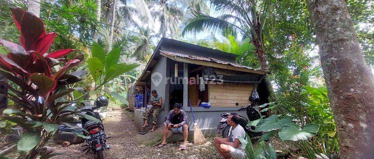 Tanah Di Jl Br Gunung Siku Blayu Marga Cocok Dibangun Villa 1