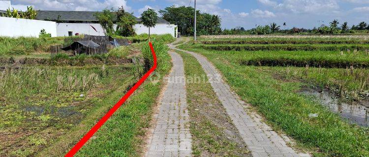 Land on Jl Singapadu Sukawati Gianyar is suitable for building a villa 1