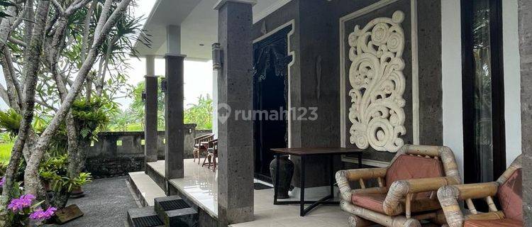 Rumah Minimalis di Belayu Marga dengan Halaman yang Luas 1