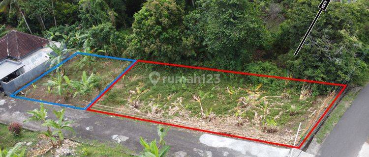 Land on Jl Bengkelsari Selemadeg Tabanan is suitable for building a house 1