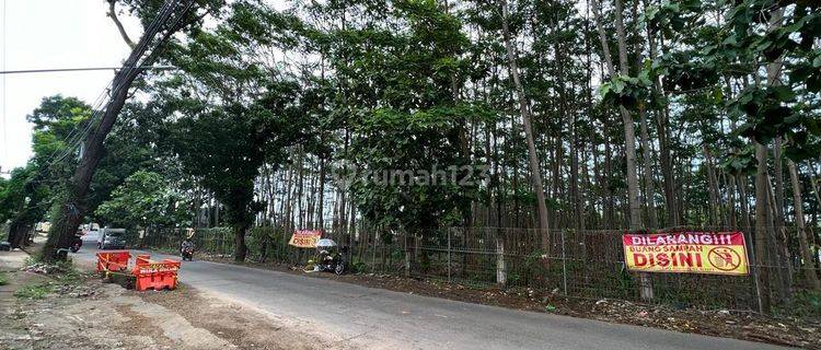 Tanah Murah Luas Pinggir Jalan Daerah Ngaliyan Semarang  1