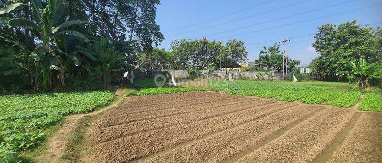 Tanah 3000 m² Bisa Untuk Pom Bensin / Usaha / Gudang di Bekasi 1