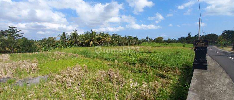 Dijual Rumah SHM Baru konsep minimalis di Gubug Tabanan 1